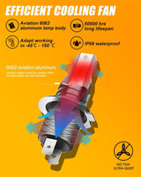 H7 LED Light Bulbs Z6 Series Fanless 300% Brighter 6500K White Light