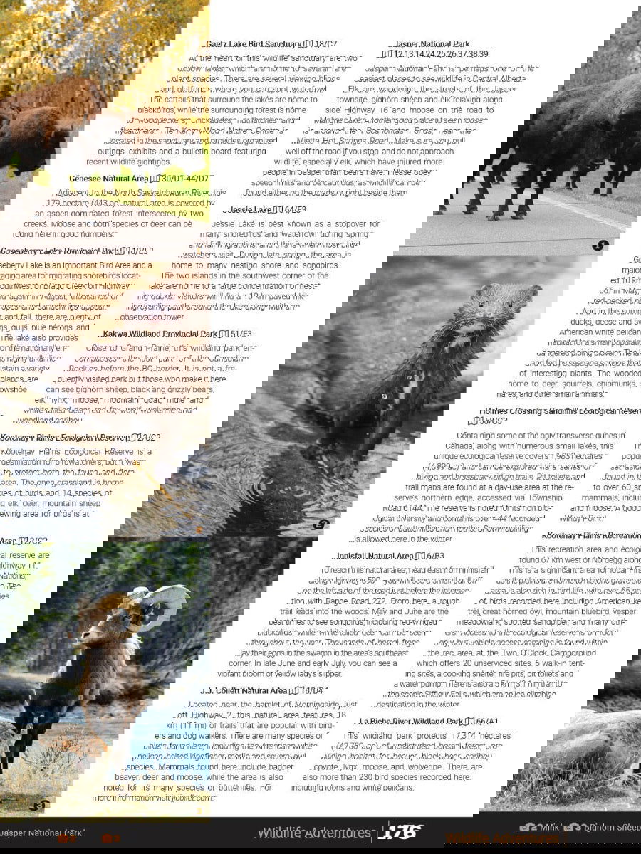 Central Alberta Backroad Mapbook