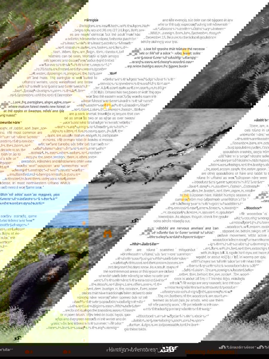 Northwestern Ontario Backroad Mapbook