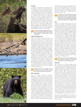 Northwestern Ontario Backroad Mapbook