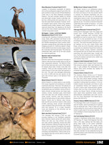 Thompson Okanagan BC Backroad Mapbook